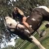 cailynwil4100
